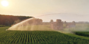 Arrosage de Grande Surface : Solutions Professionnelles pour un Irrigation Optimale