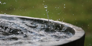 Optez pour une gestion écologique de l’eau avec nos cuves de récupération d’eau de pluie