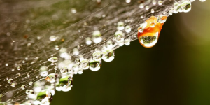 Traitement de l'eau de pluie