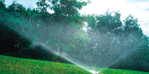 Comment arroser le jardin en été ?