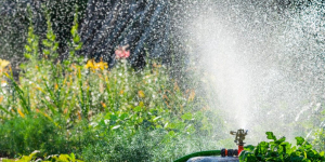 Quel est le matériel nécessaire pour l'arrosage du jardin ?