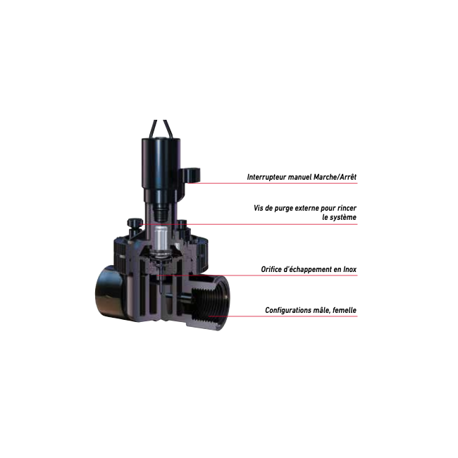 Electrovanne EZ-FLO PLUS 1" M 24V TORO