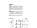 Programmateur ESP LXD à décodeur - Rain Bird - 50 stations